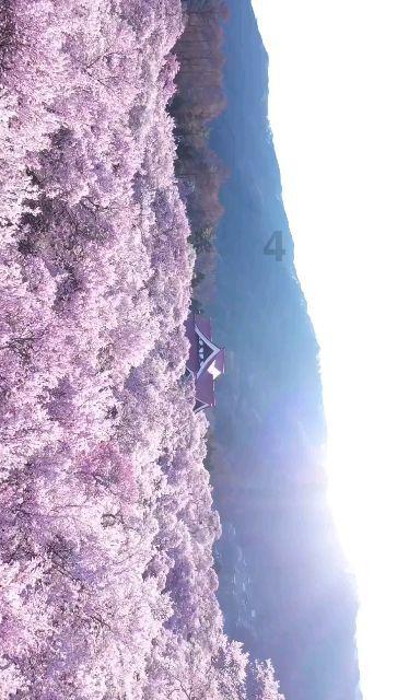 魔法骑士战争