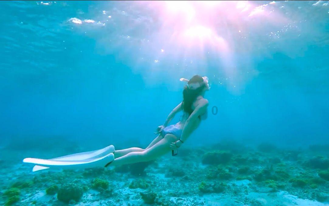 流星蝴蝶剑