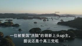 植物大战僵尸17