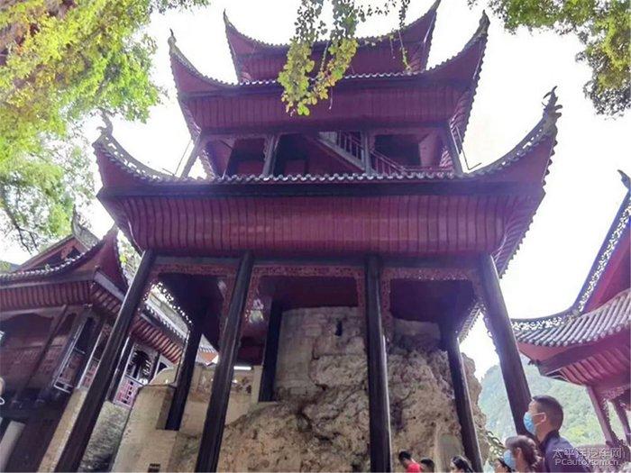 逃离狂热地带