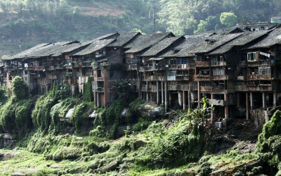 熊出没水果大陆2
